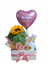 Girassol/caneca e Ferrero Rocher