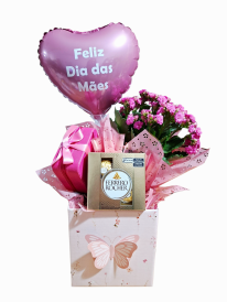 Flor/Ferrero Rocher e mino