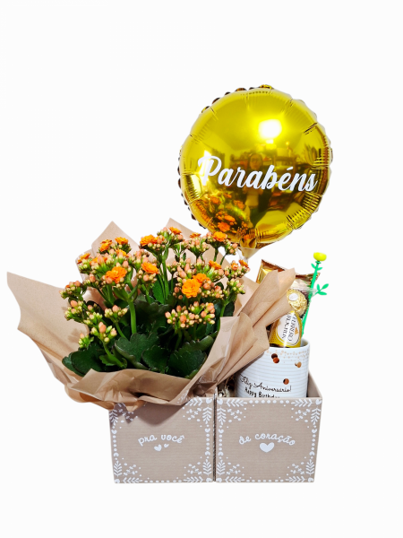 Flor/caneca e chocolate