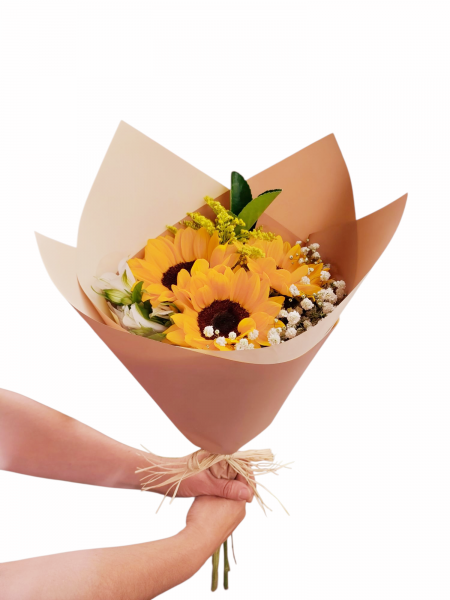 Você é meu girassol