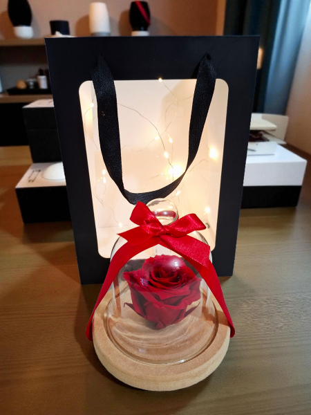 Rosa encantada! (rosa preservada)