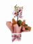 Mini orquídea bramca e pink especial