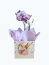 Mini orquídea com carinho